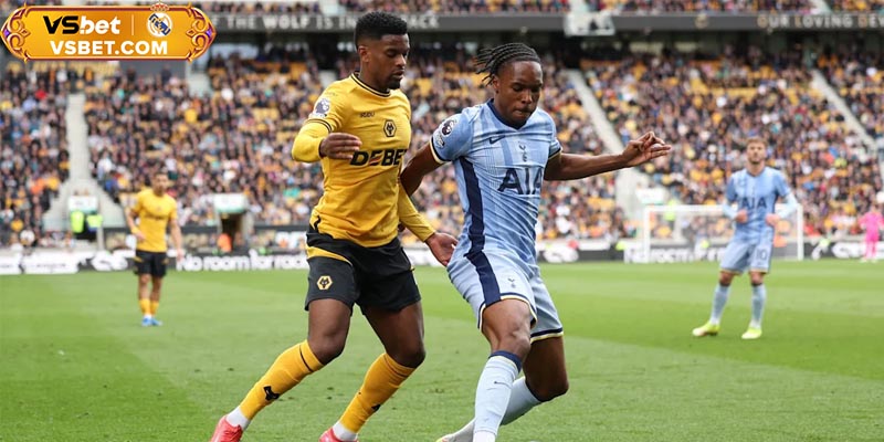 Nhận định Tottenham vs Wolves, 02h00 ngày 28/09: Chướng ngại khó nhằn